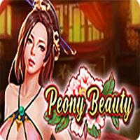 Peony Beauty